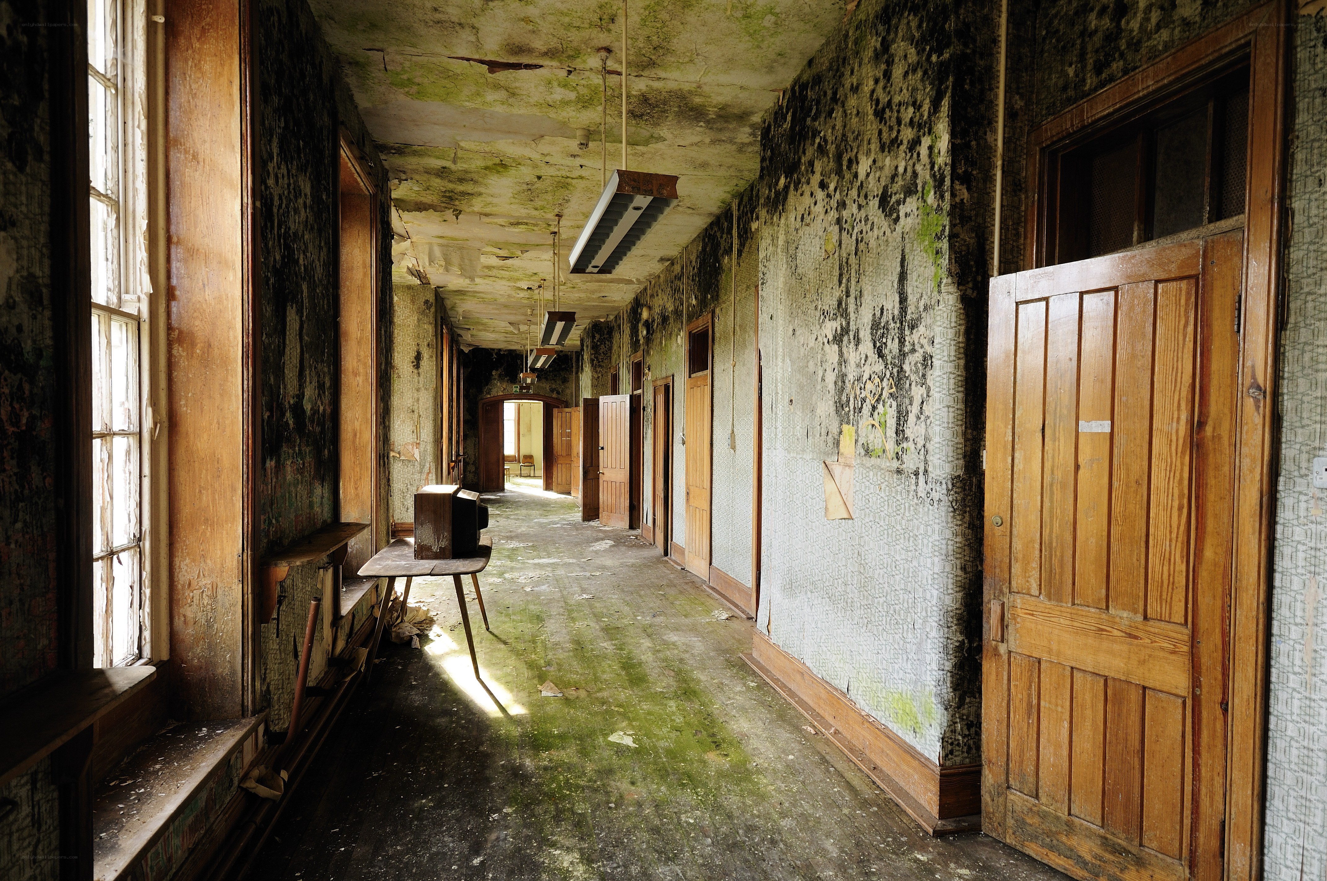 abandoned hallway with mold