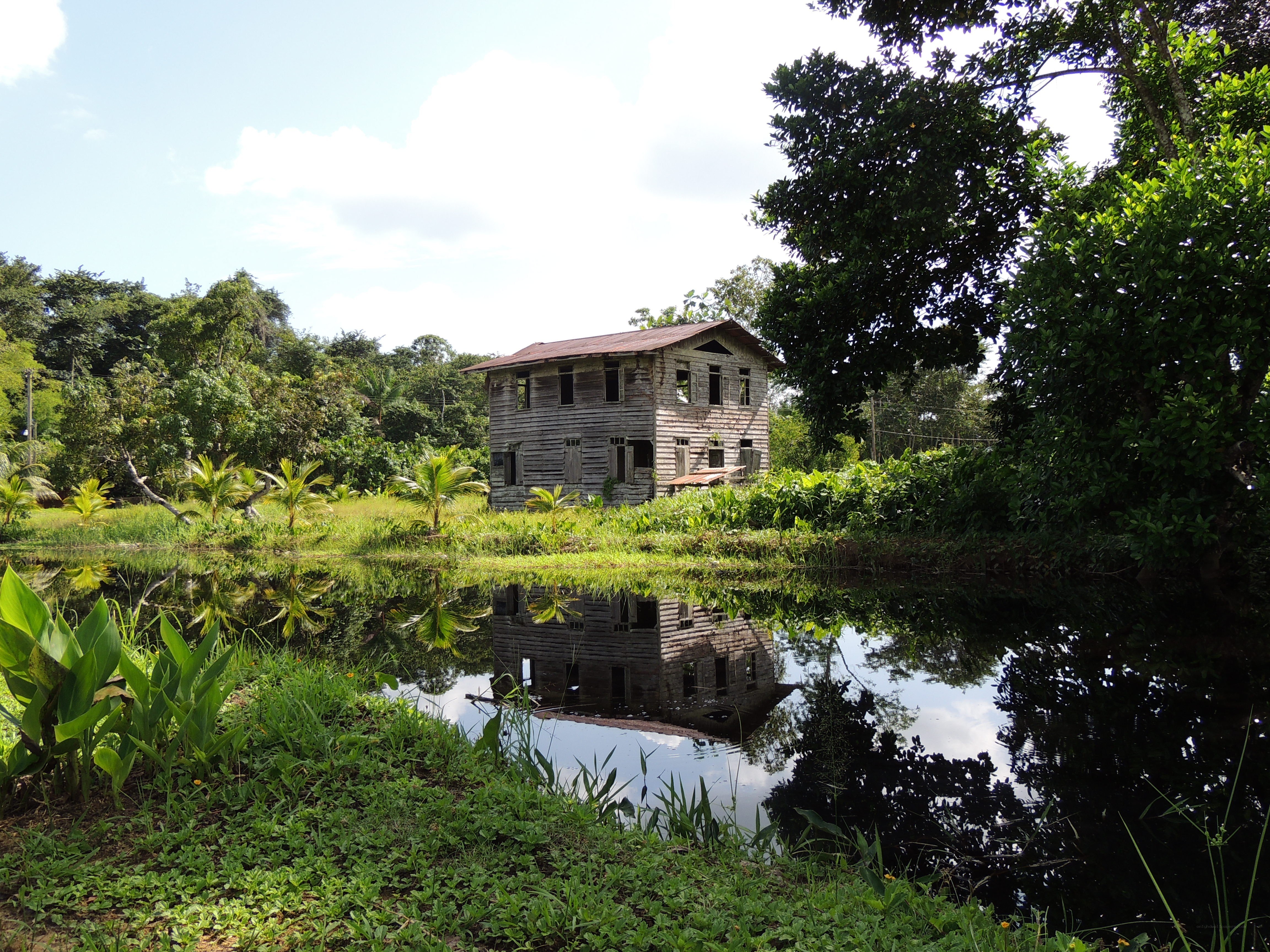 Abandoned house by a pond