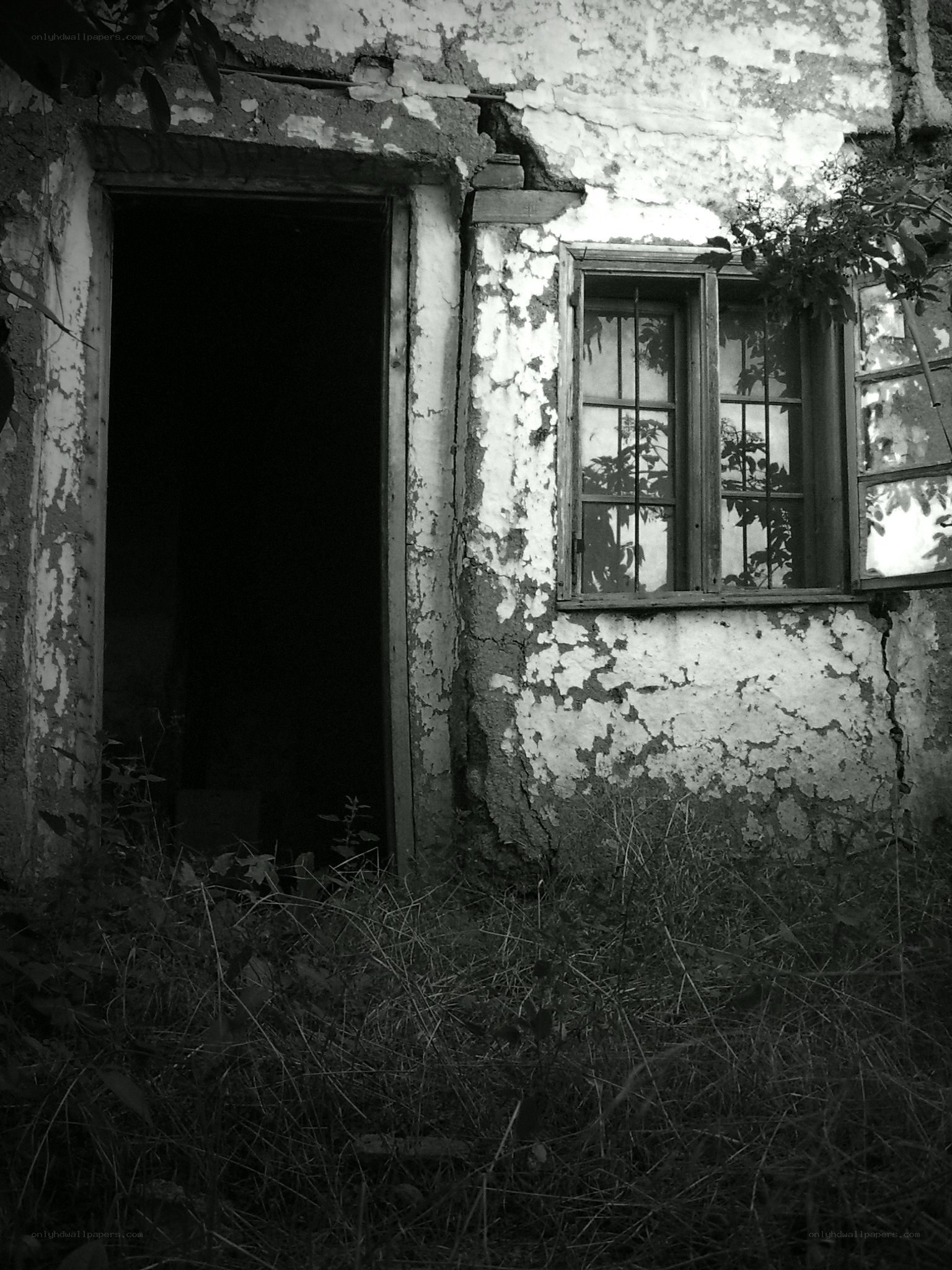 abandoned house exterior