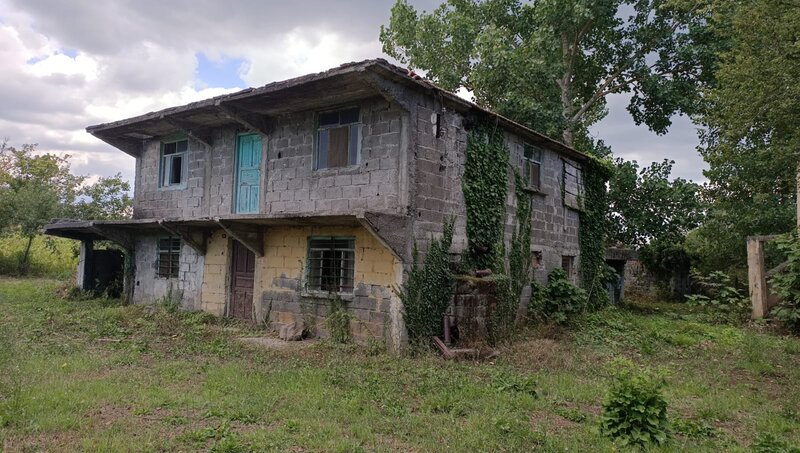 Abandoned House — Green, Desolate, Afternoon