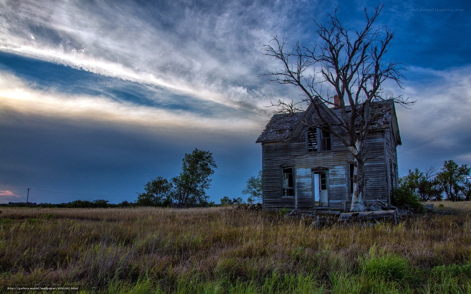 Abandoned house in a field