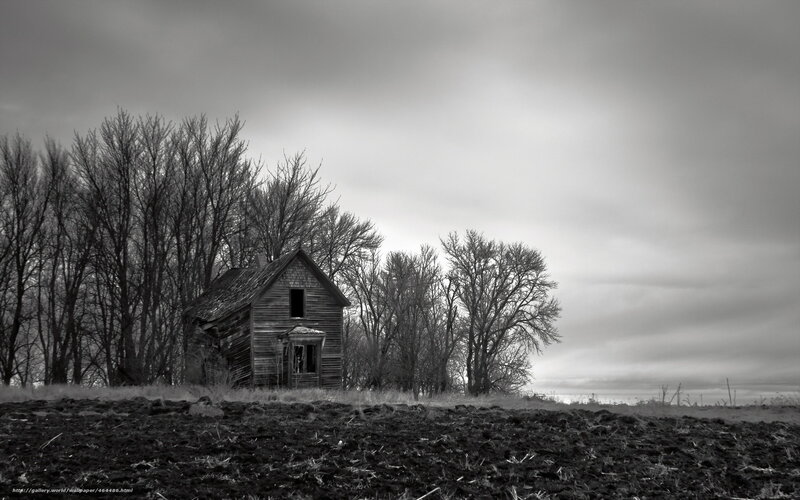 Abandoned house in a field