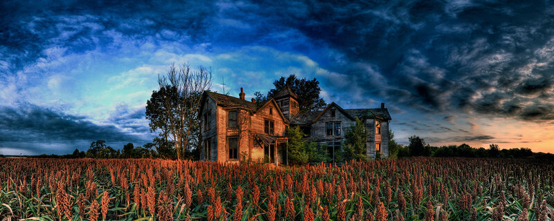 Abandoned house in a field