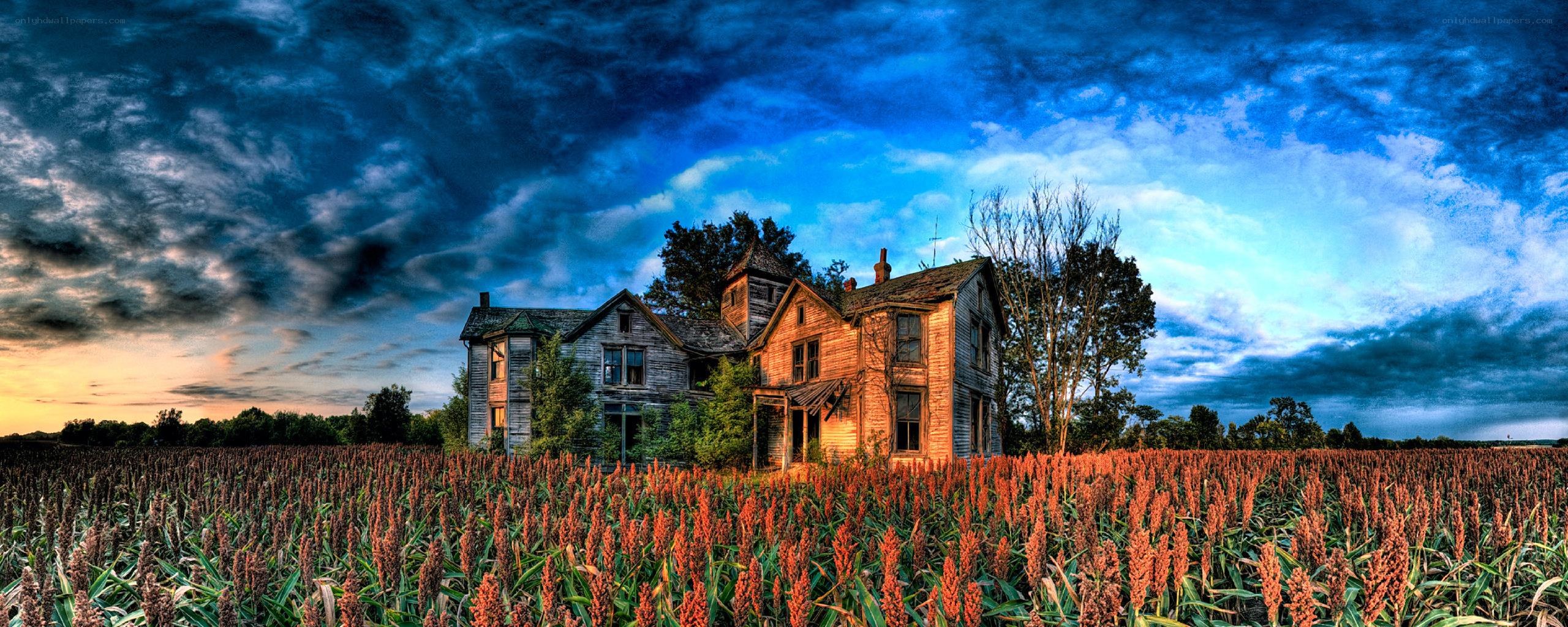 Abandoned house in a field
