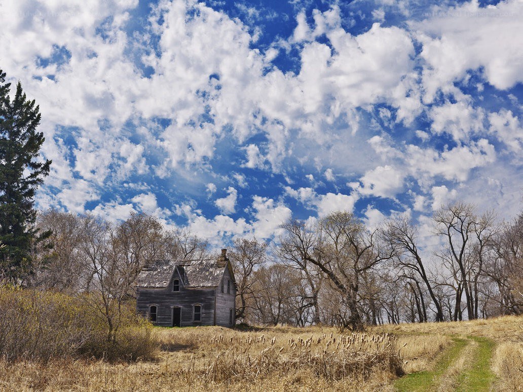 Abandoned house in a field