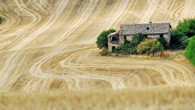 Abandoned house in a harvested field