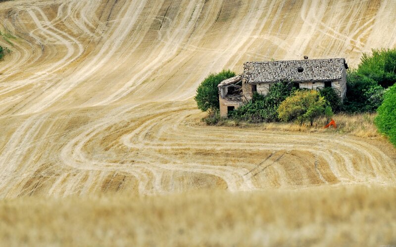 Abandoned house in a harvested field