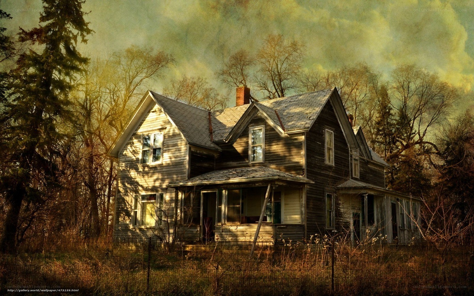 abandoned house in autumn