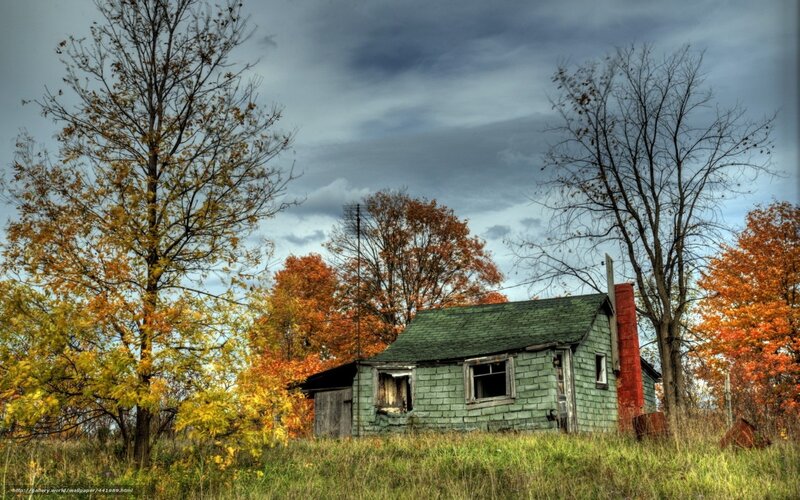 Abandoned House in Autumn — Green