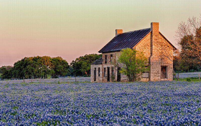 Abandoned house in bluebonnet field