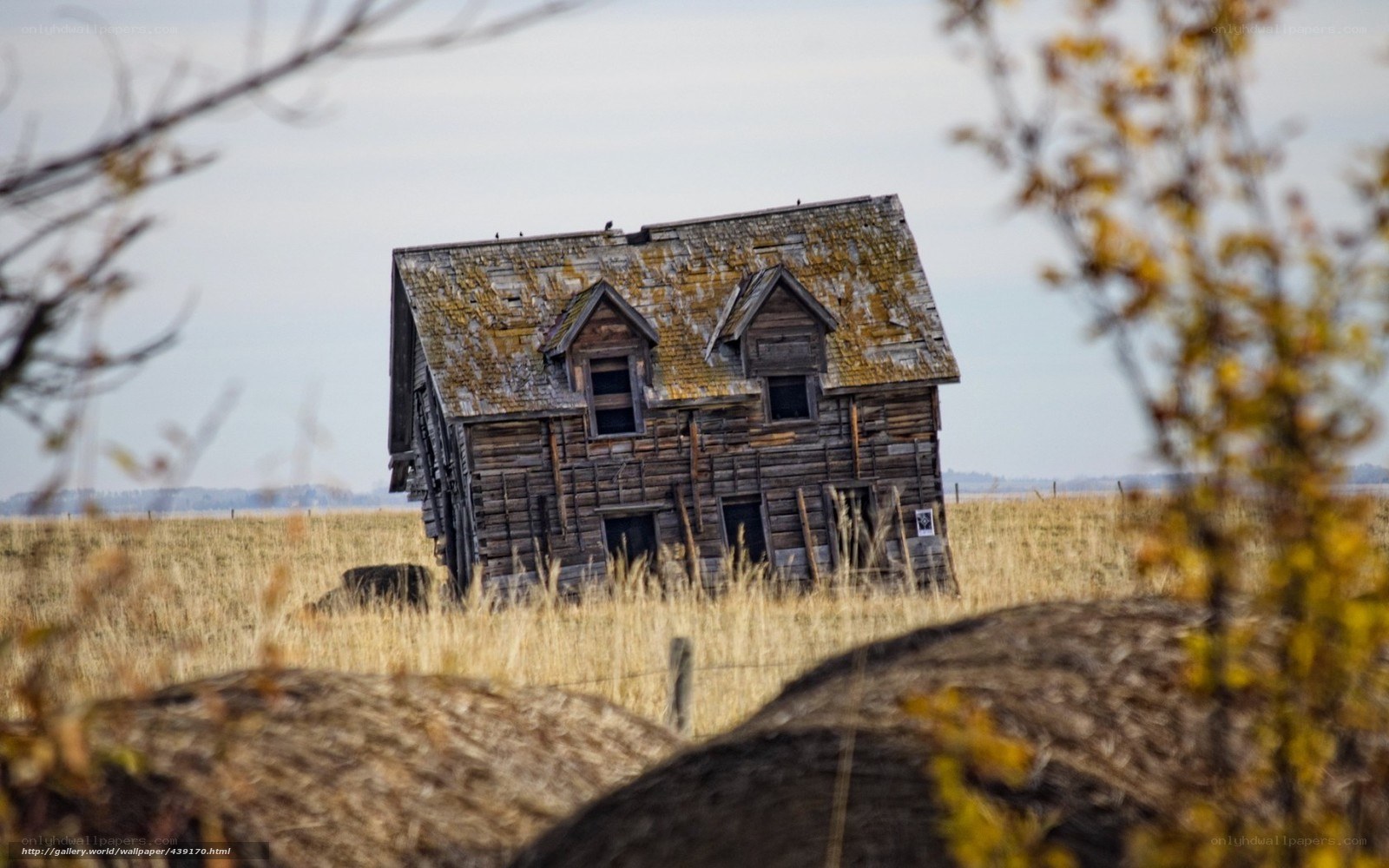 abandoned house in field