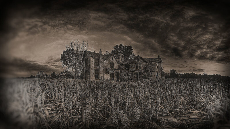 Abandoned House in Field — Black