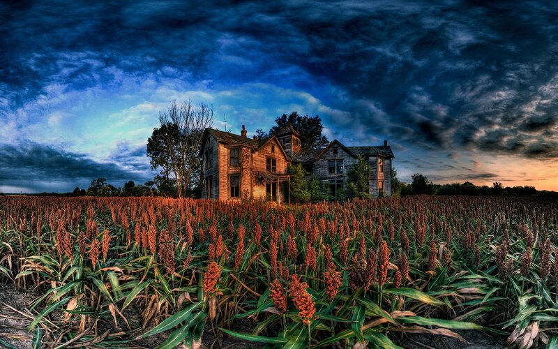 Abandoned House in Field — Blue, Dramatic, Sunset, Photograph, Clouds