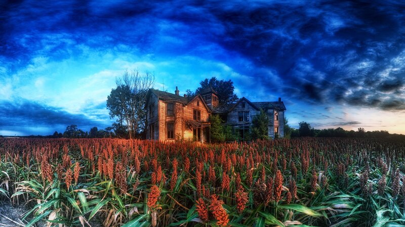 Abandoned House in Field — Blue, Dramatic, Sunset, Photograph, Clouds, Trees