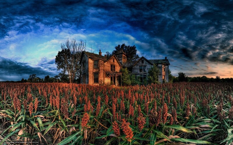 Abandoned House in Field — Blue, Dramatic, Sunset, Photograph, Sky