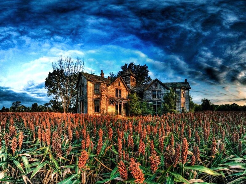 Abandoned House in Field — Blue, Dramatic, Sunset, Photograph, Trees, Sky, Brown