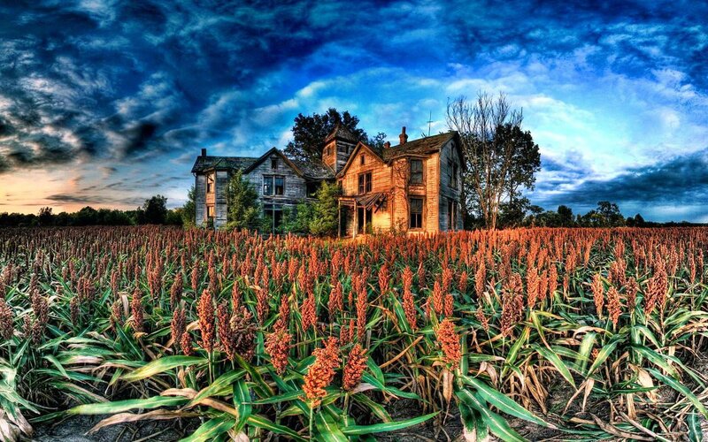 Abandoned House in Field — Blue, Dramatic