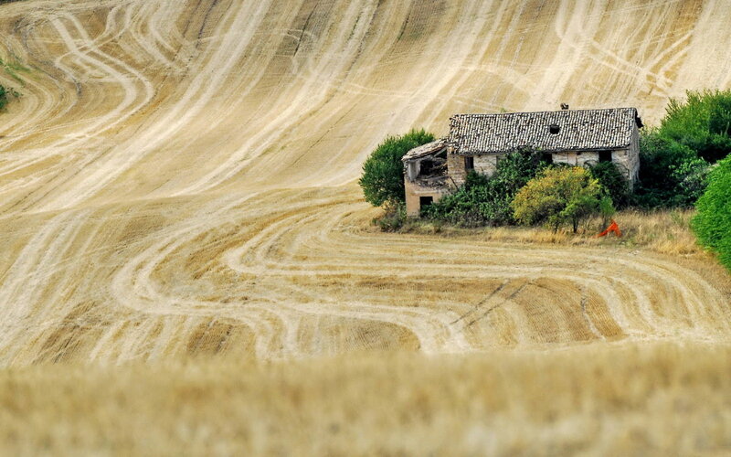 Abandoned House in Field — Brown, Desolate