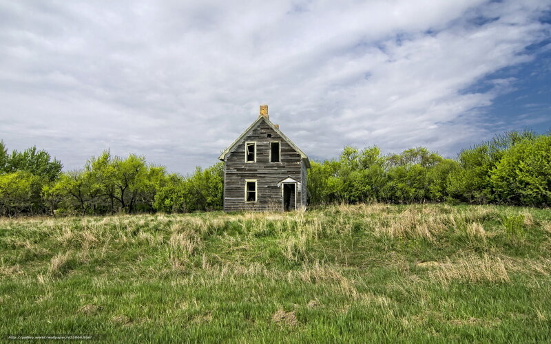 Abandoned House in Field — Green, Desolate