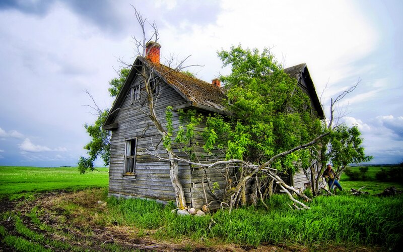 Abandoned House in Field — Green, Dramatic, Afternoon, Photograph