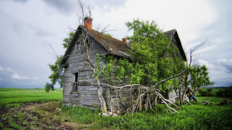 Abandoned House in Field — Green, Dramatic, Afternoon, Photograph, Tree