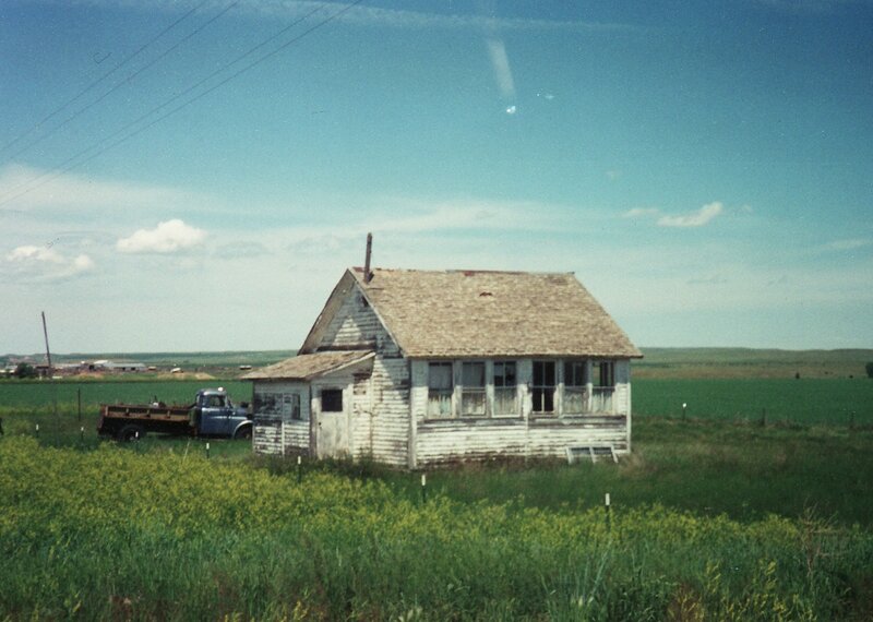 Abandoned House in Field — Green, Rural