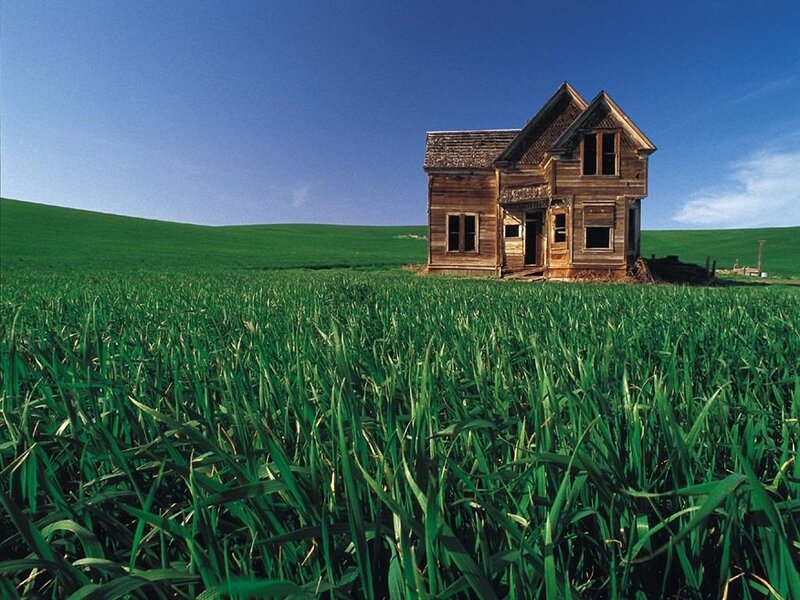 Abandoned House in Field — Green, Serene, Afternoon, Photograph, Sky