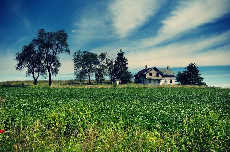 Abandoned House in Field — Green, Serene, Afternoon, Photograph, Trees