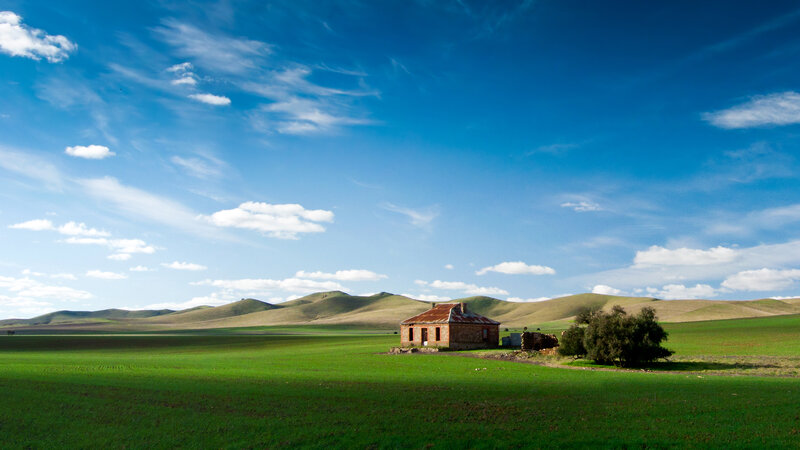 Abandoned House in Field — Green, Serene, Afternoon