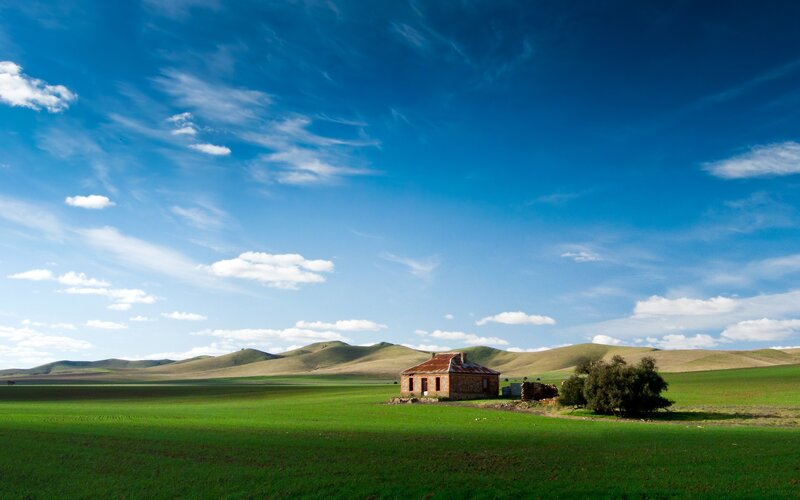 Abandoned House in Field — Green, Serene