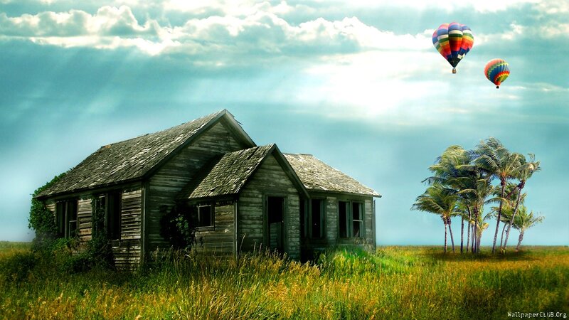 Abandoned House in Field — Green