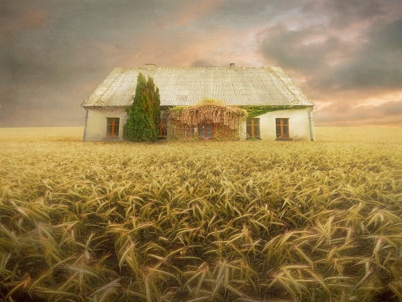 Abandoned House in Field — Yellow