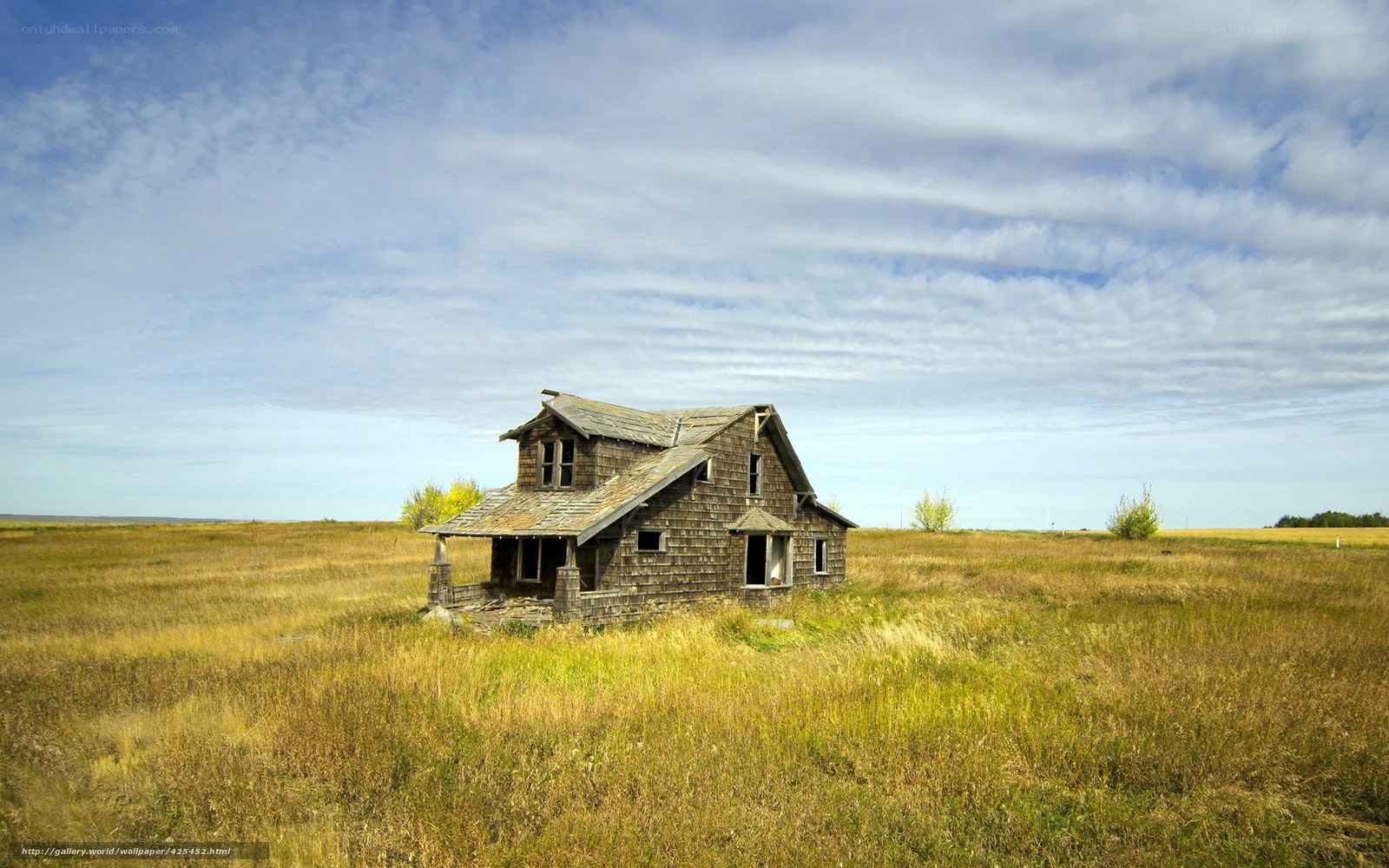 Abandoned house in field