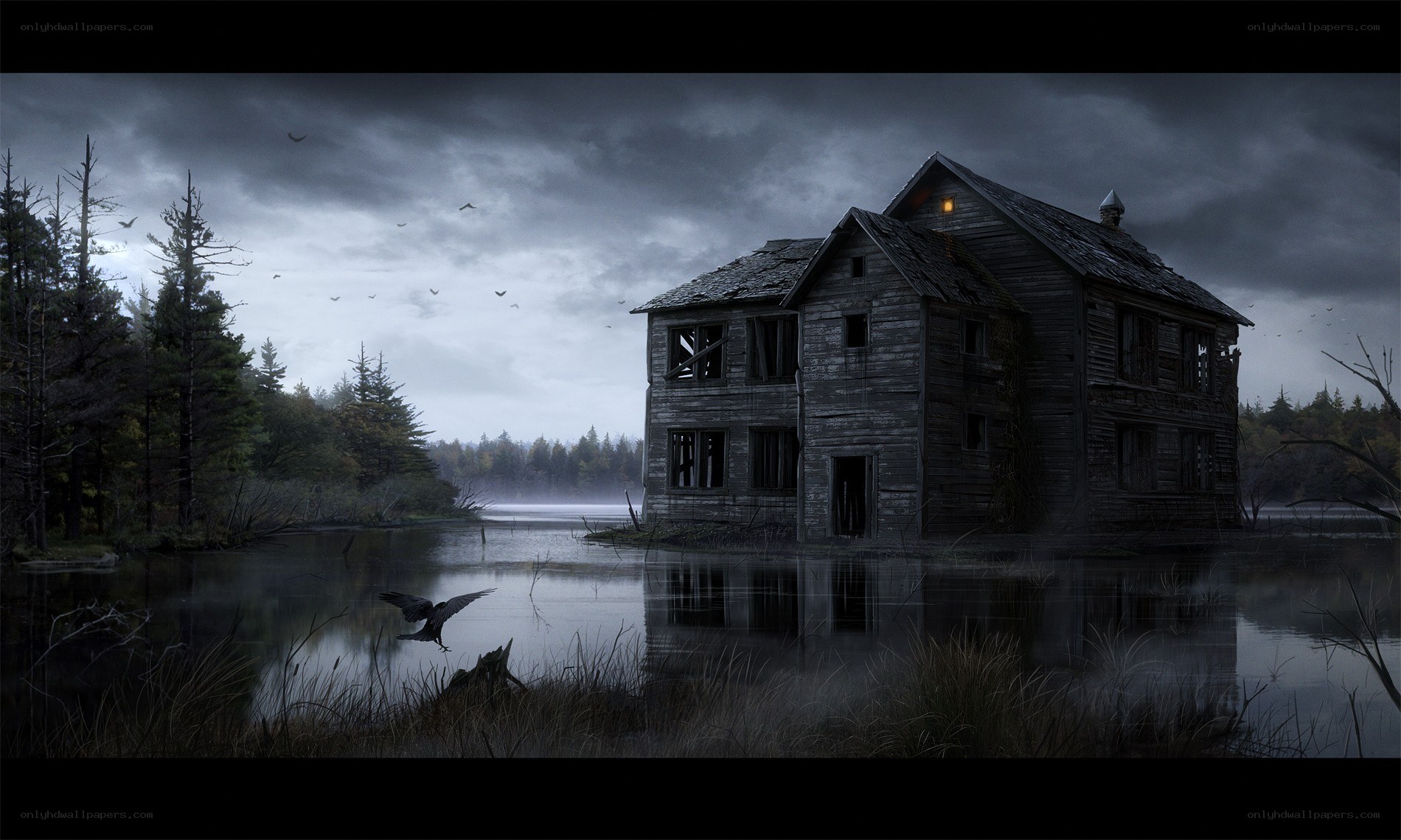 abandoned house in flooded forest