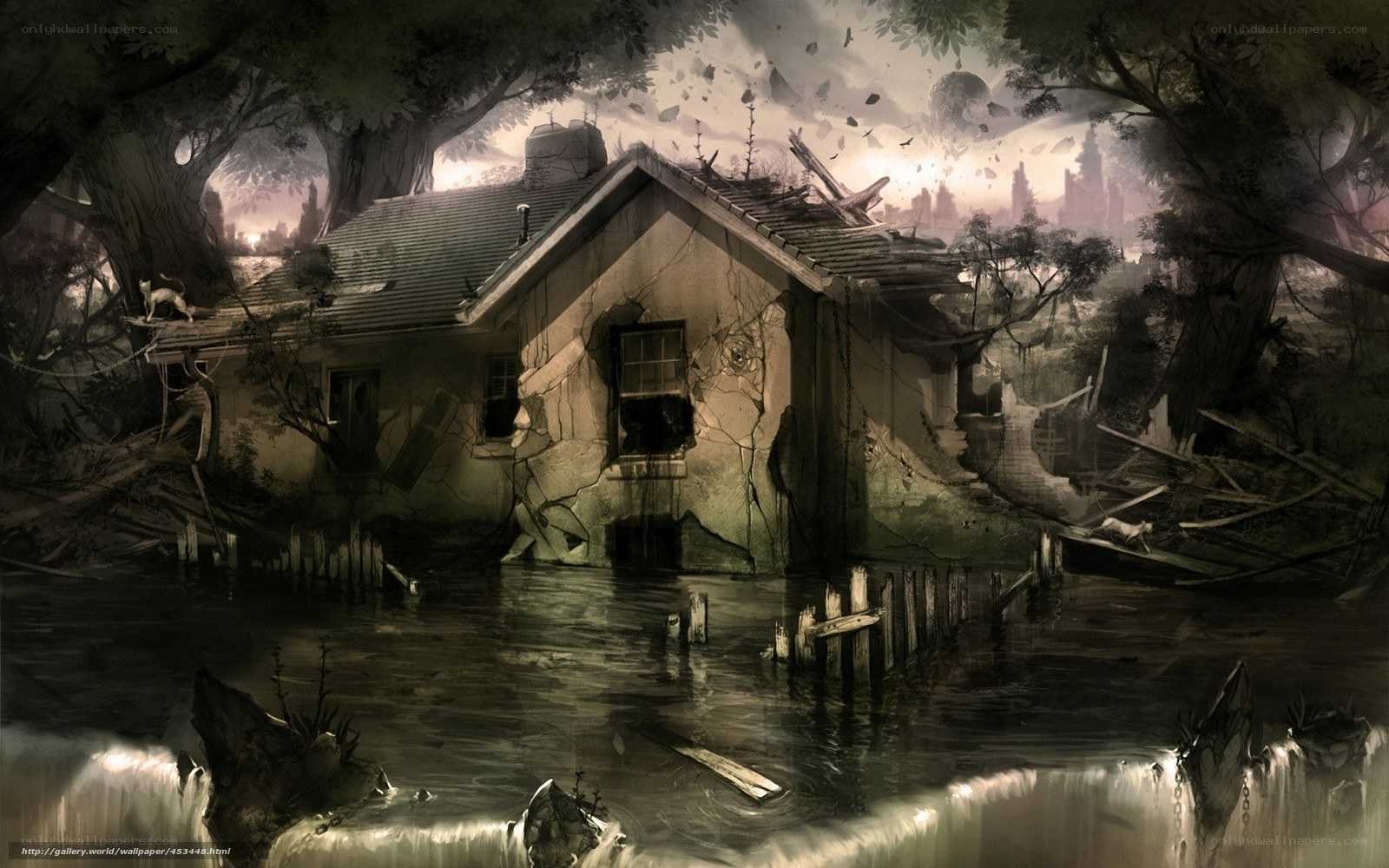 Abandoned house in flooded forest