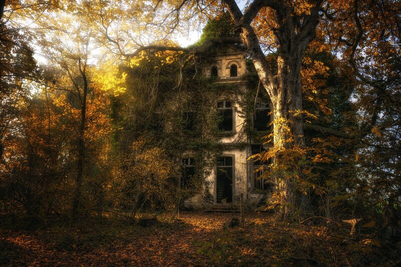 Abandoned House in Forest — Brown, Dramatic, Autumn