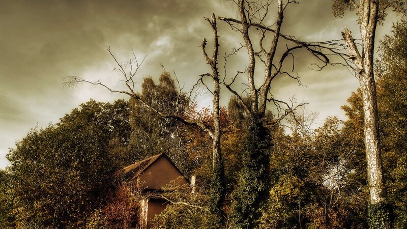 Abandoned House in Forest — Brown, Dramatic