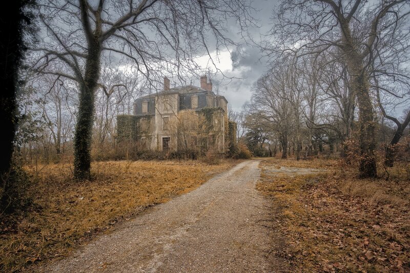 Abandoned House in Forest — Brown, Dreary