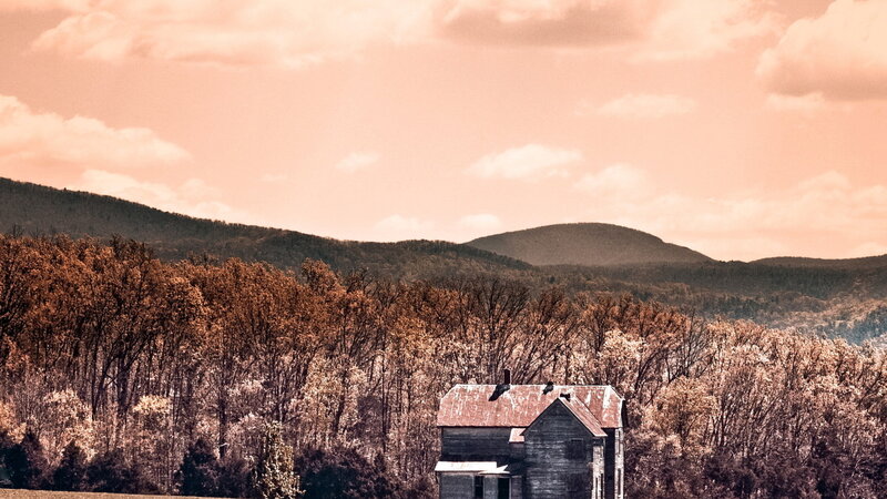 Abandoned House in Forest — Brown, Somber