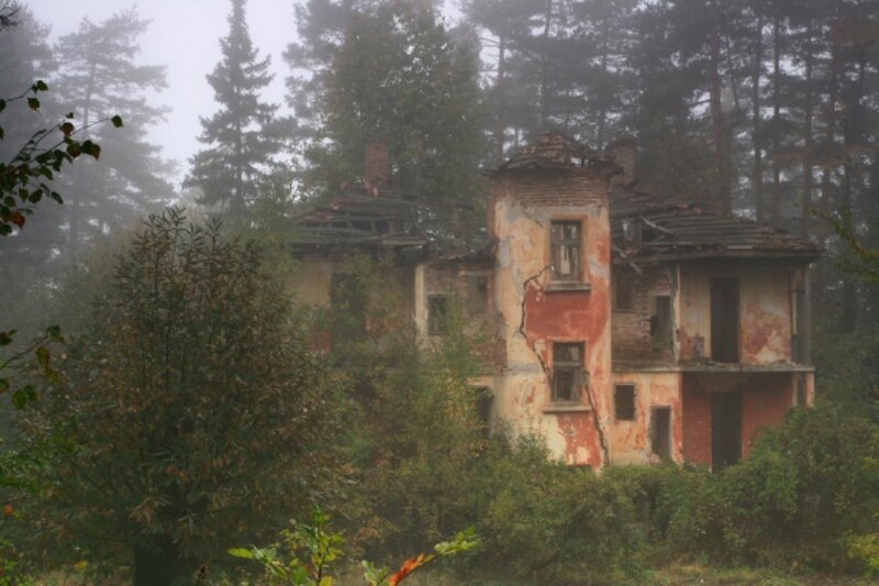 Abandoned House in Forest — Brown