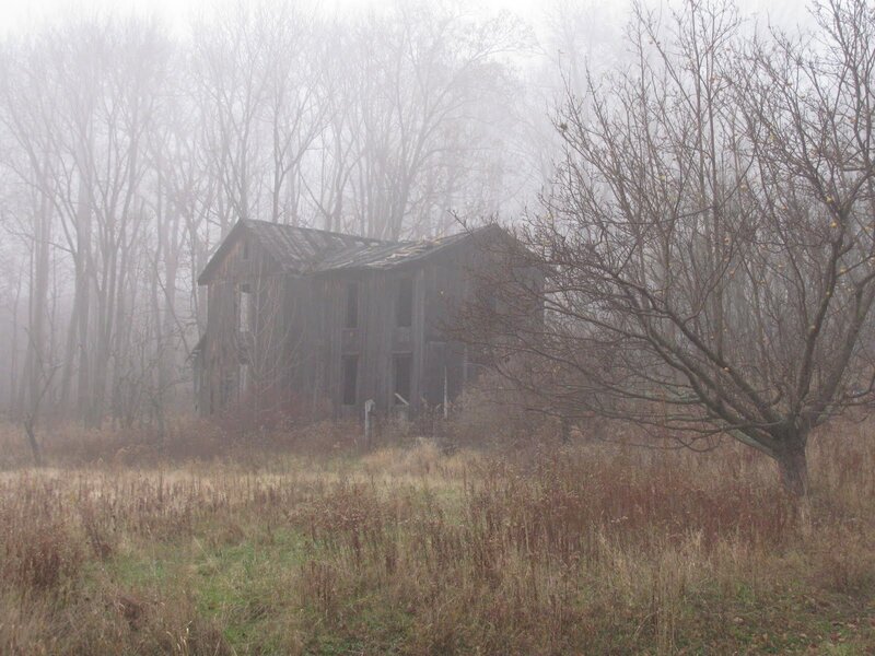 Abandoned House in Forest — Gray