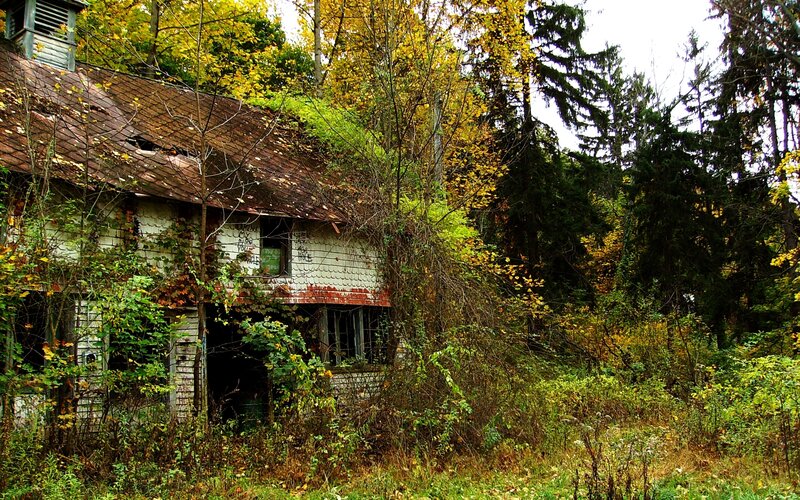 Abandoned House in Forest — Green, Desolate, Autumn
