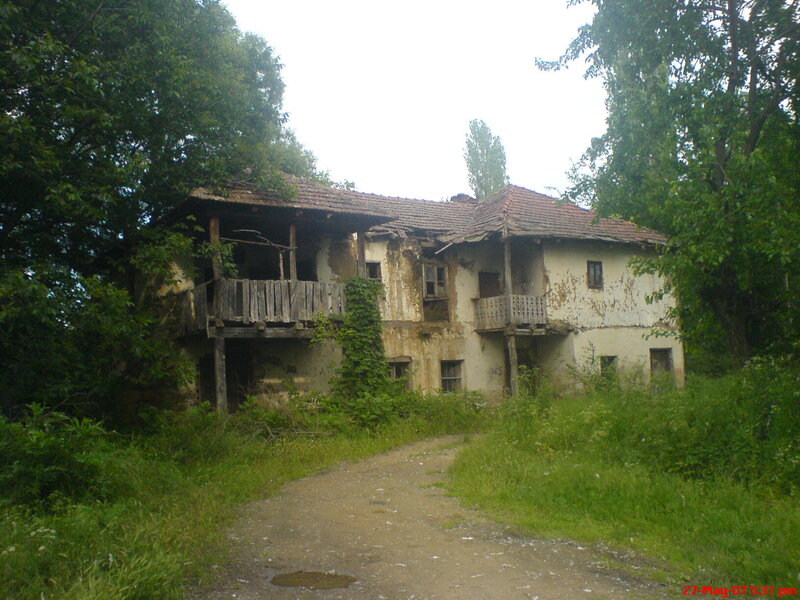 Abandoned House in Forest — Green, Desolate, Morning