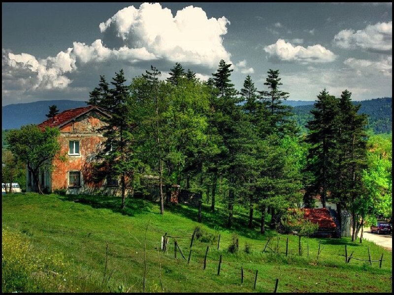 Abandoned House in Forest — Green, Dramatic
