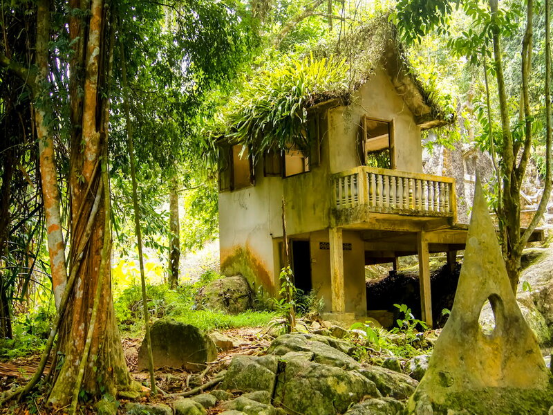 Abandoned House in Forest — Green, Serene