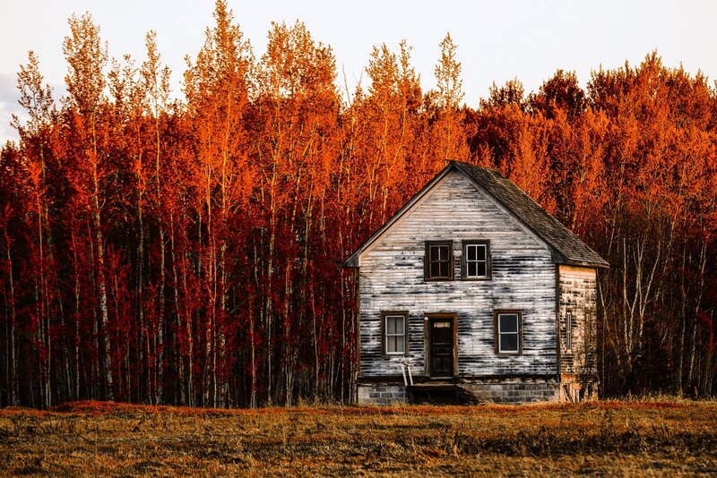 Abandoned House in Forest — Orange