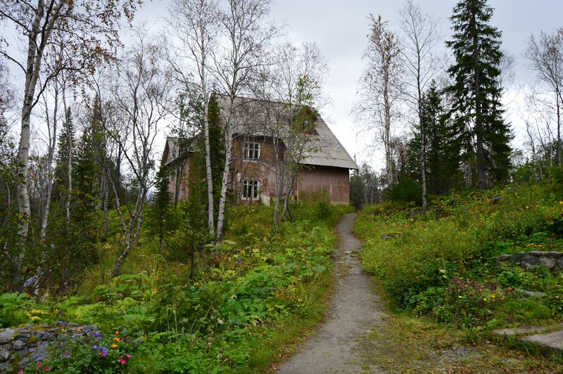 Abandoned house in forest