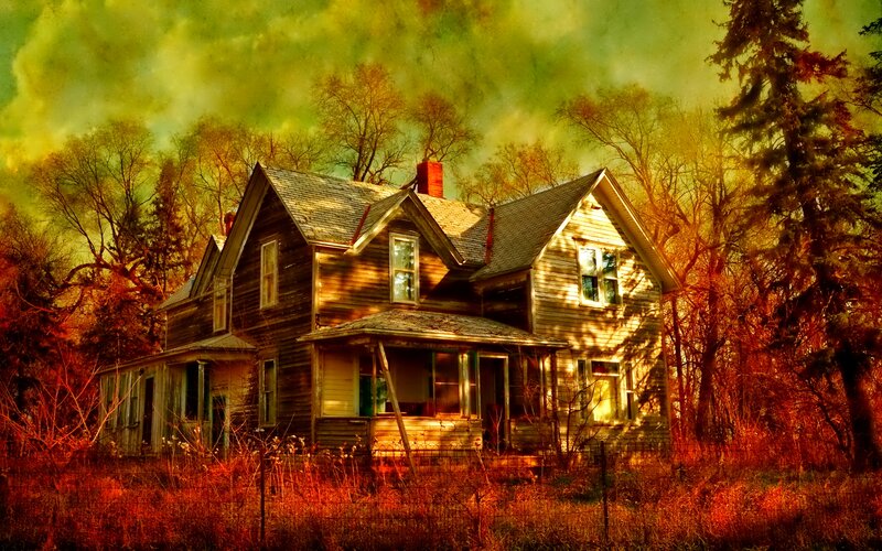 Abandoned House in Forest — Yellow