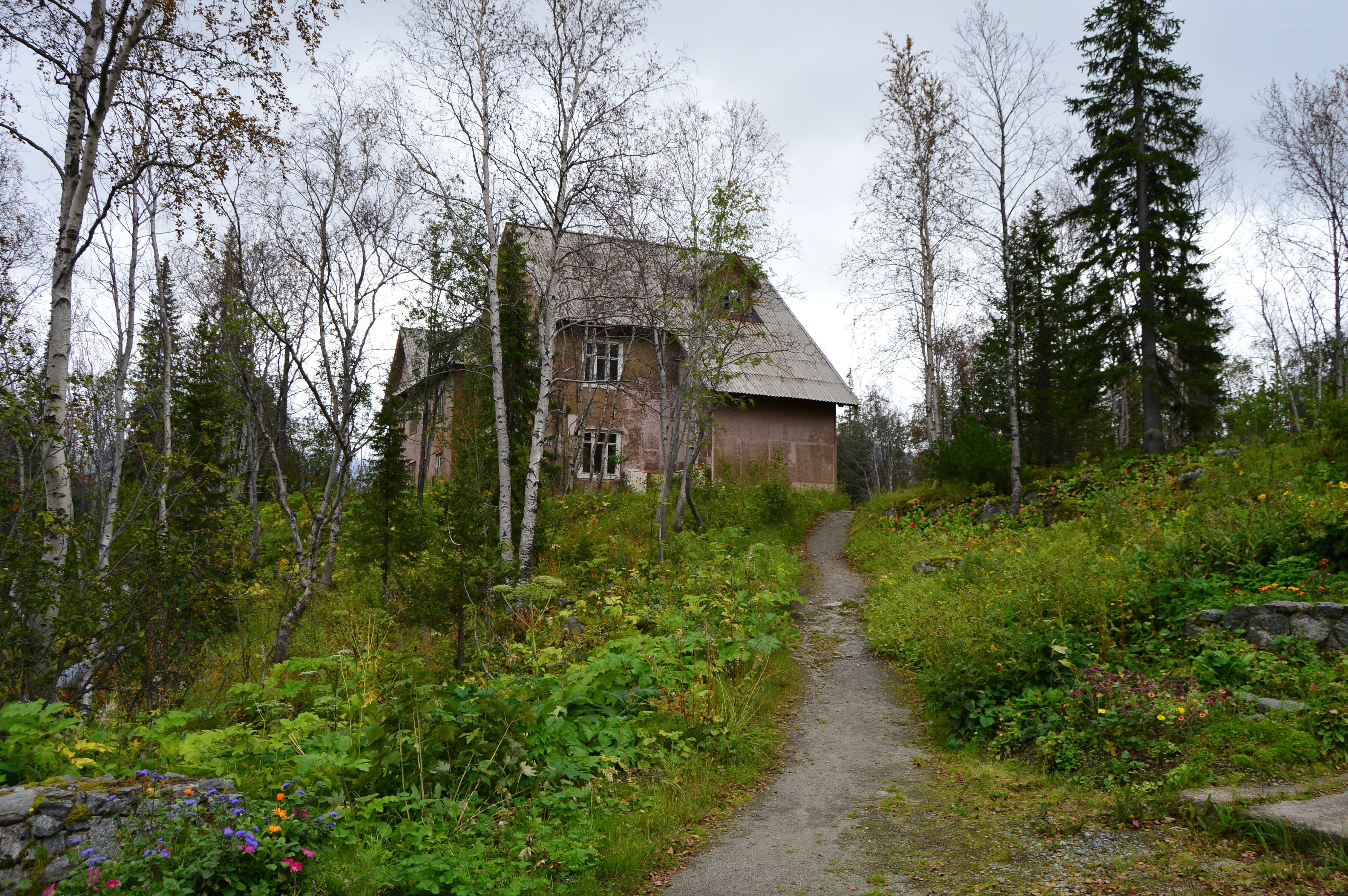 Abandoned house in forest