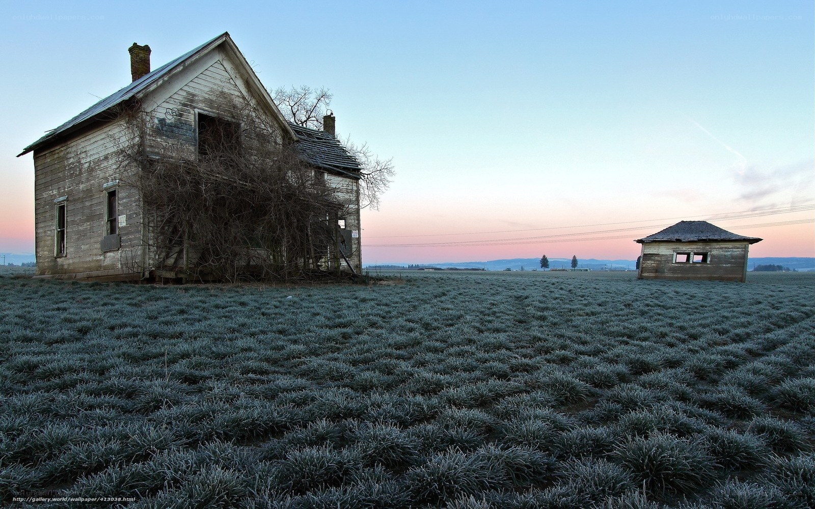 Abandoned house in frosty field